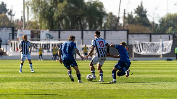 Viajar con Tu Gato: Consejos Esenciales para una Aventura Inolvidable